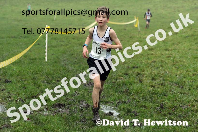 Boys under-13s, NECAA Junior Cross Country Relays, Thornley Farm, Peterlee, Saturday, December 12th. Photo: David T. Hewitson/Sports for All Pics